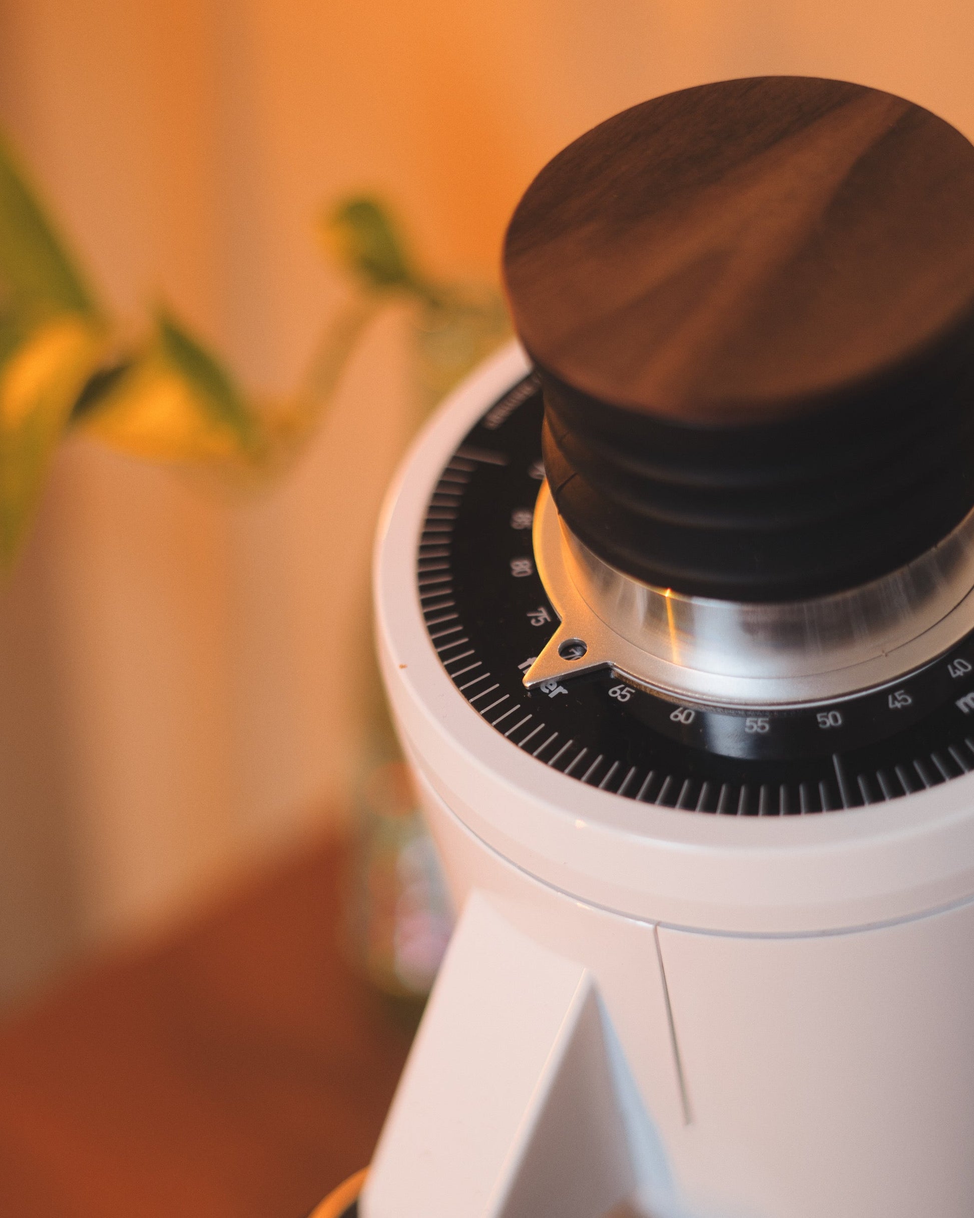 Turin DF83 v3 Single Dose Grinder - From Espresso Outlet LLC - Just $549! Shop now at Freedom Bear Coffee LLC