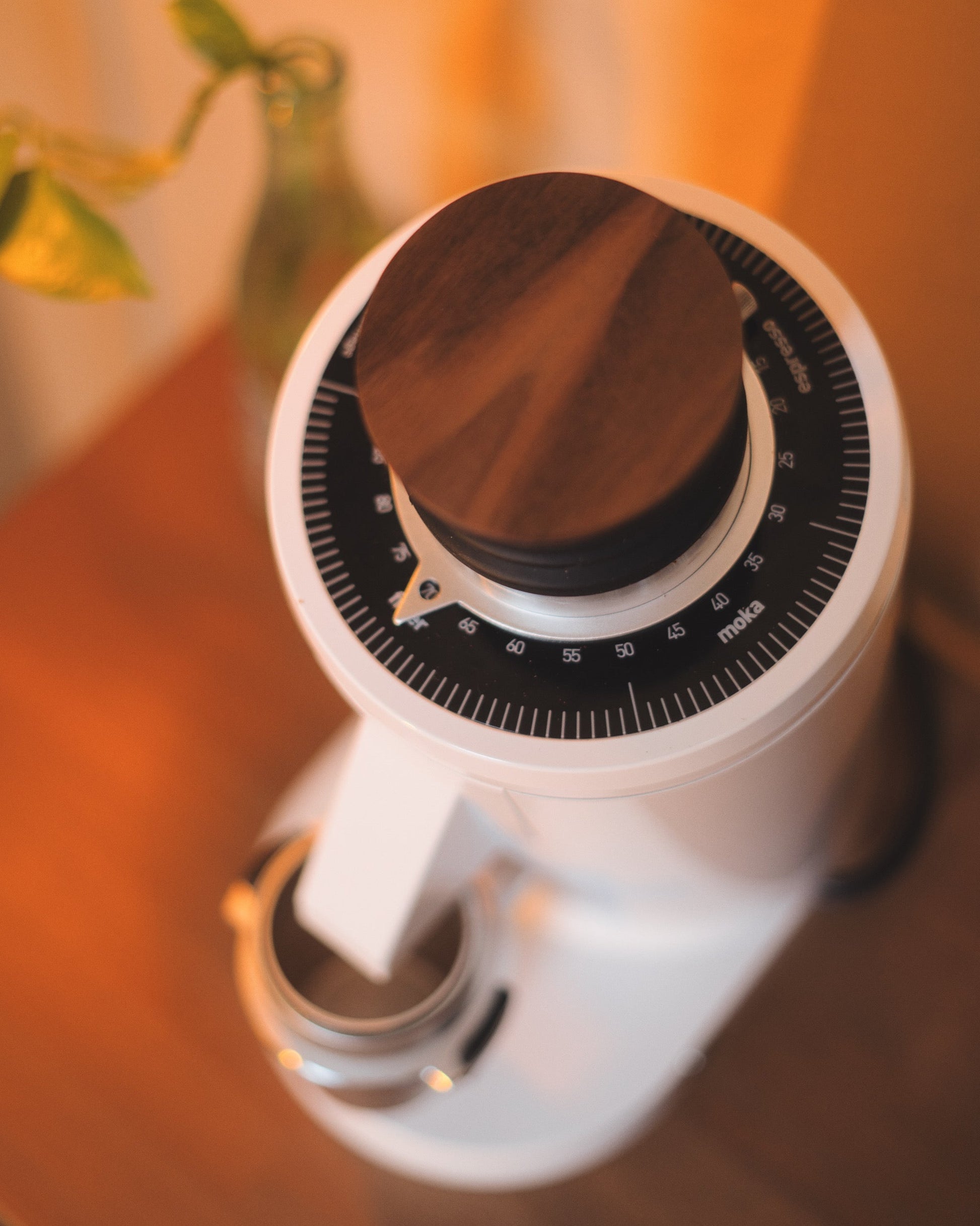 Turin DF83 v3 Single Dose Grinder - From Espresso Outlet LLC - Just $549! Shop now at Freedom Bear Coffee LLC