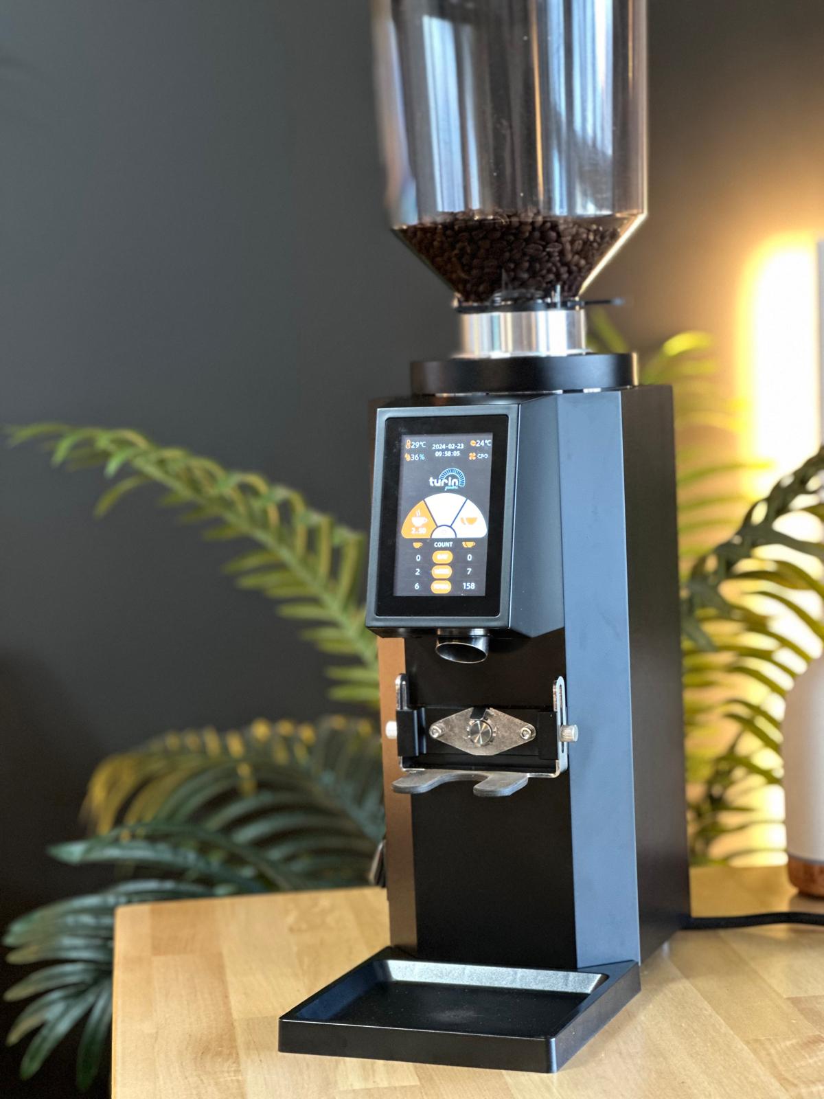 Turin ZF83 Commercial Espresso Grinder - From Espresso Outlet LLC - Just $1199! Shop now at Freedom Bear Coffee LLC