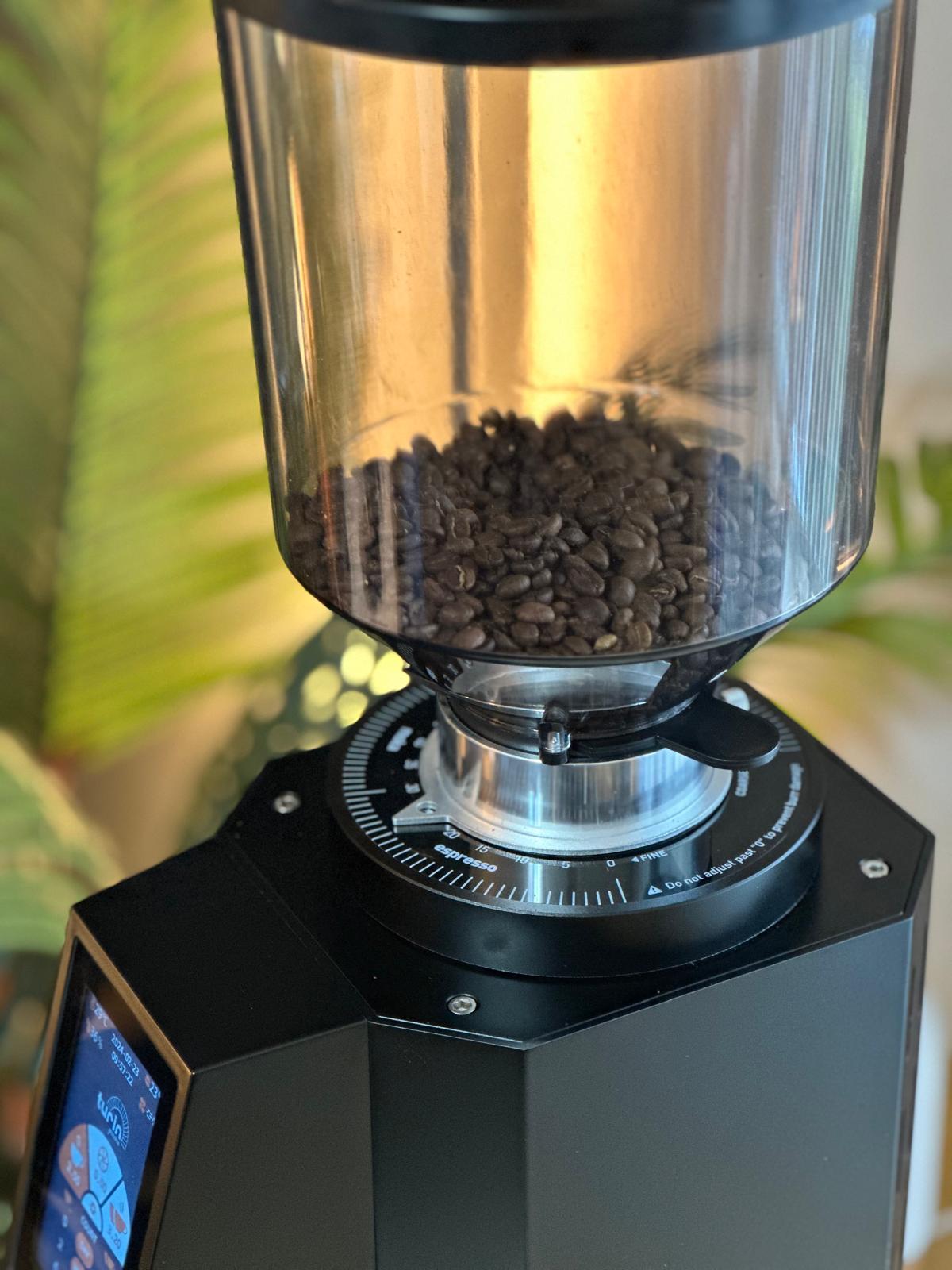 Turin ZF83 Commercial Espresso Grinder - From Espresso Outlet LLC - Just $1199! Shop now at Freedom Bear Coffee LLC