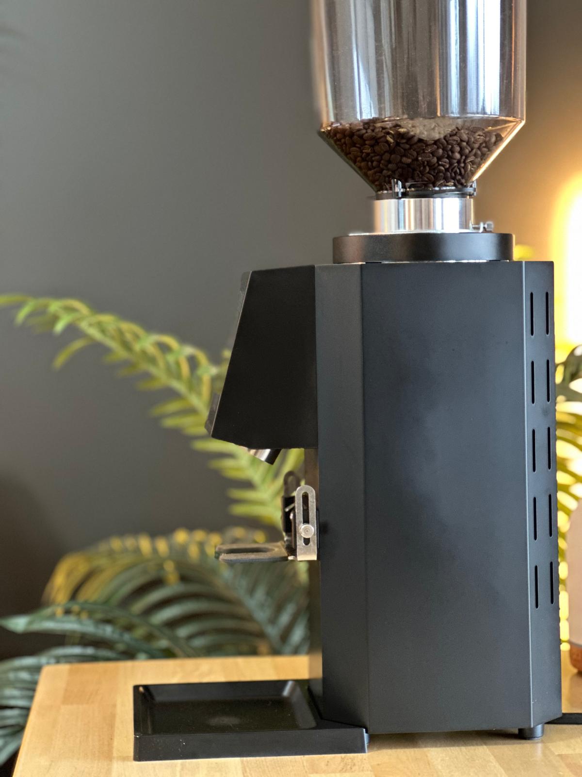 Turin ZF83 Commercial Espresso Grinder - From Espresso Outlet LLC - Just $1199! Shop now at Freedom Bear Coffee LLC