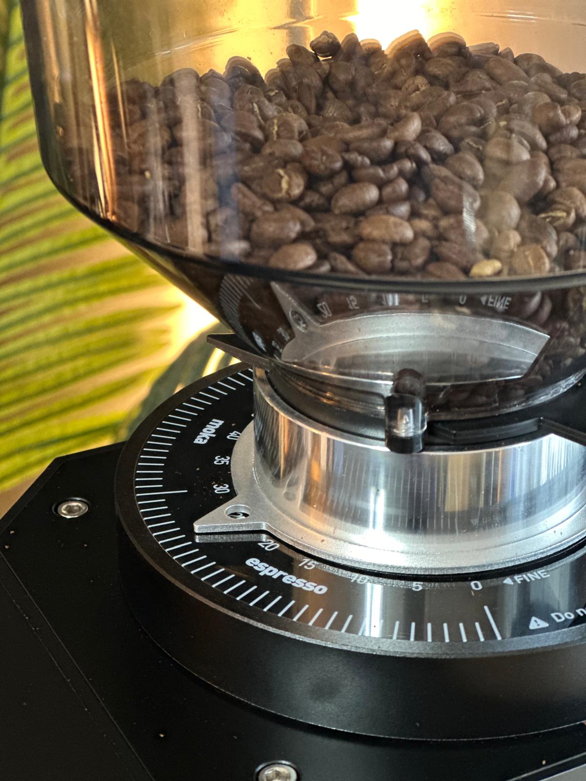 Turin ZF83 Commercial Espresso Grinder - From Espresso Outlet LLC - Just $1199! Shop now at Freedom Bear Coffee LLC