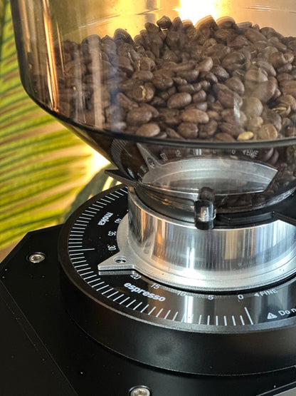 Turin ZF83 Commercial Espresso Grinder - From Espresso Outlet LLC - Just $1199! Shop now at Freedom Bear Coffee LLC