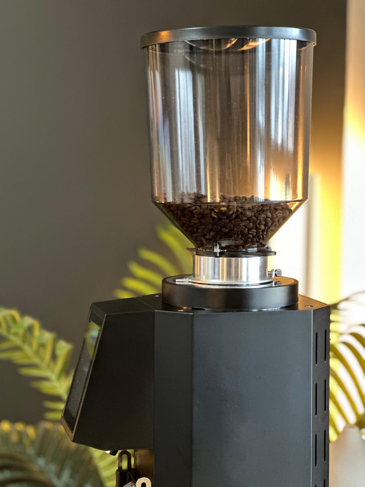 Turin ZF83 Commercial Espresso Grinder - From Espresso Outlet LLC - Just $1199! Shop now at Freedom Bear Coffee LLC