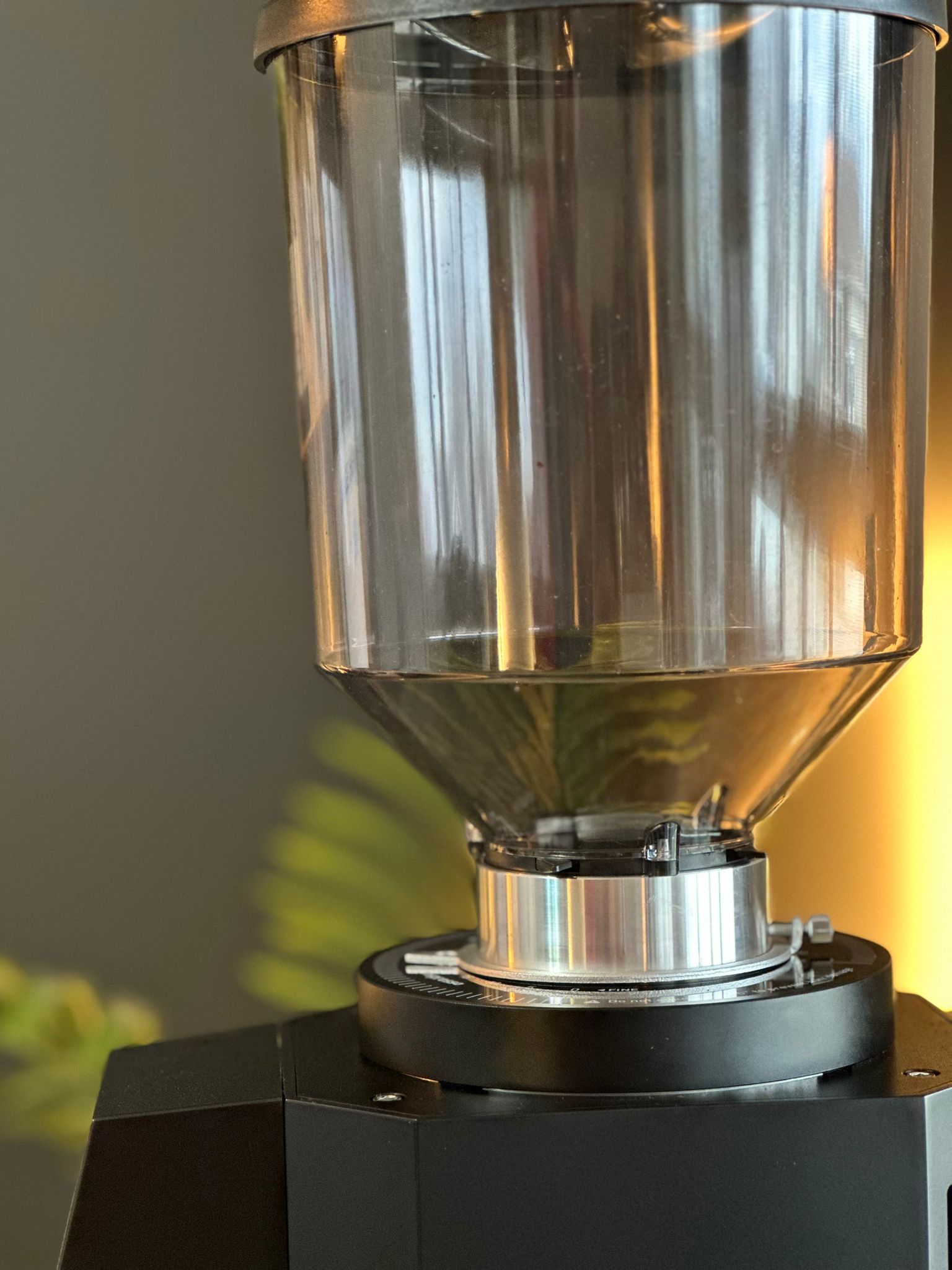 Turin ZF83 Commercial Espresso Grinder - From Espresso Outlet LLC - Just $1199! Shop now at Freedom Bear Coffee LLC