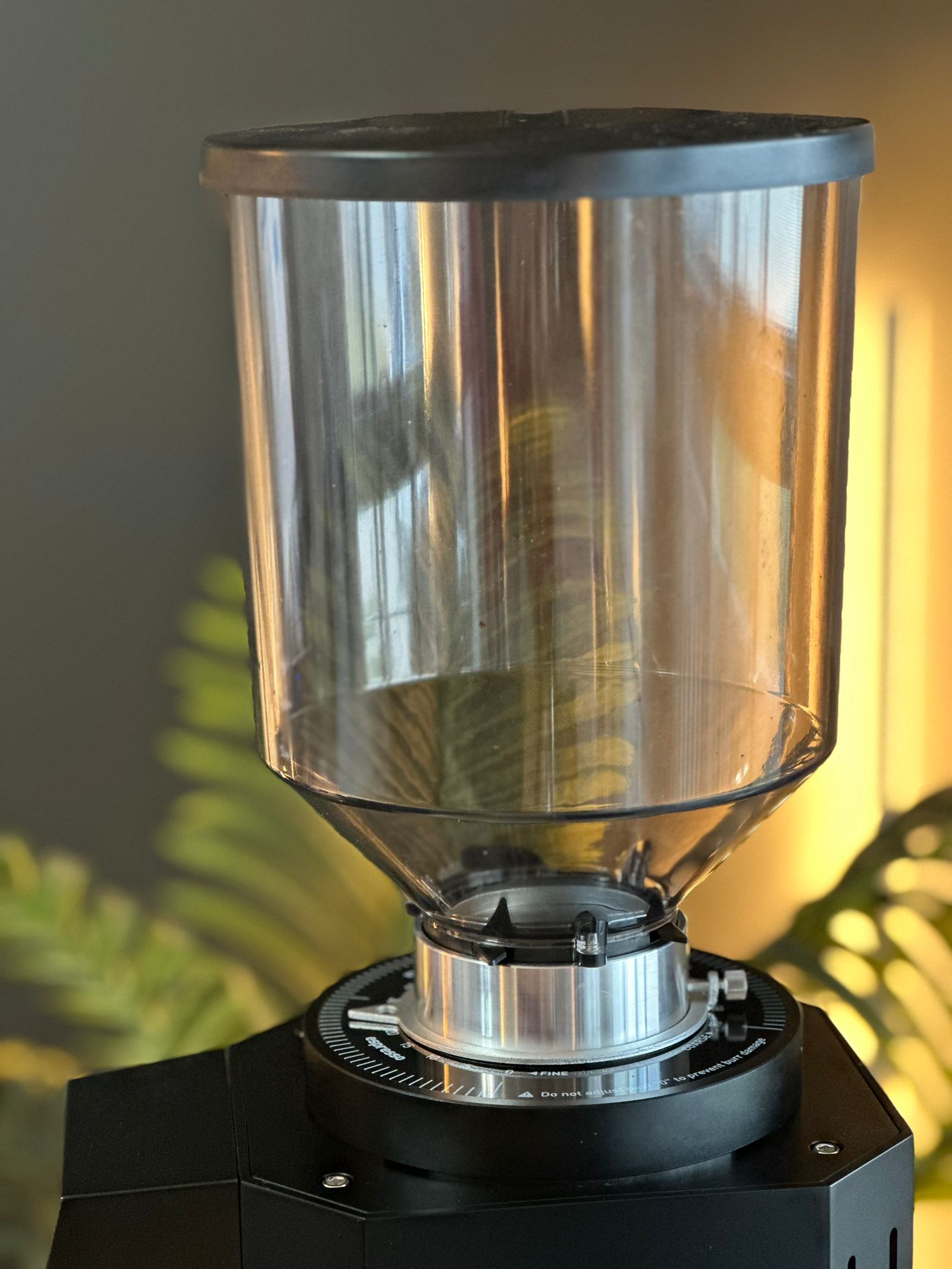 Turin ZF83 Commercial Espresso Grinder - From Espresso Outlet LLC - Just $1199! Shop now at Freedom Bear Coffee LLC