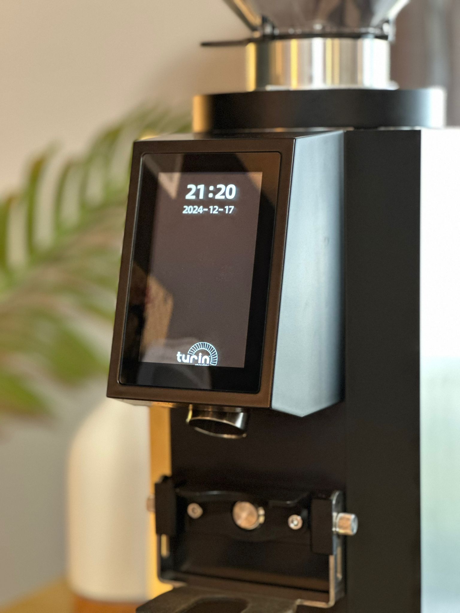 Turin ZF83 Commercial Espresso Grinder - From Espresso Outlet LLC - Just $1199! Shop now at Freedom Bear Coffee LLC
