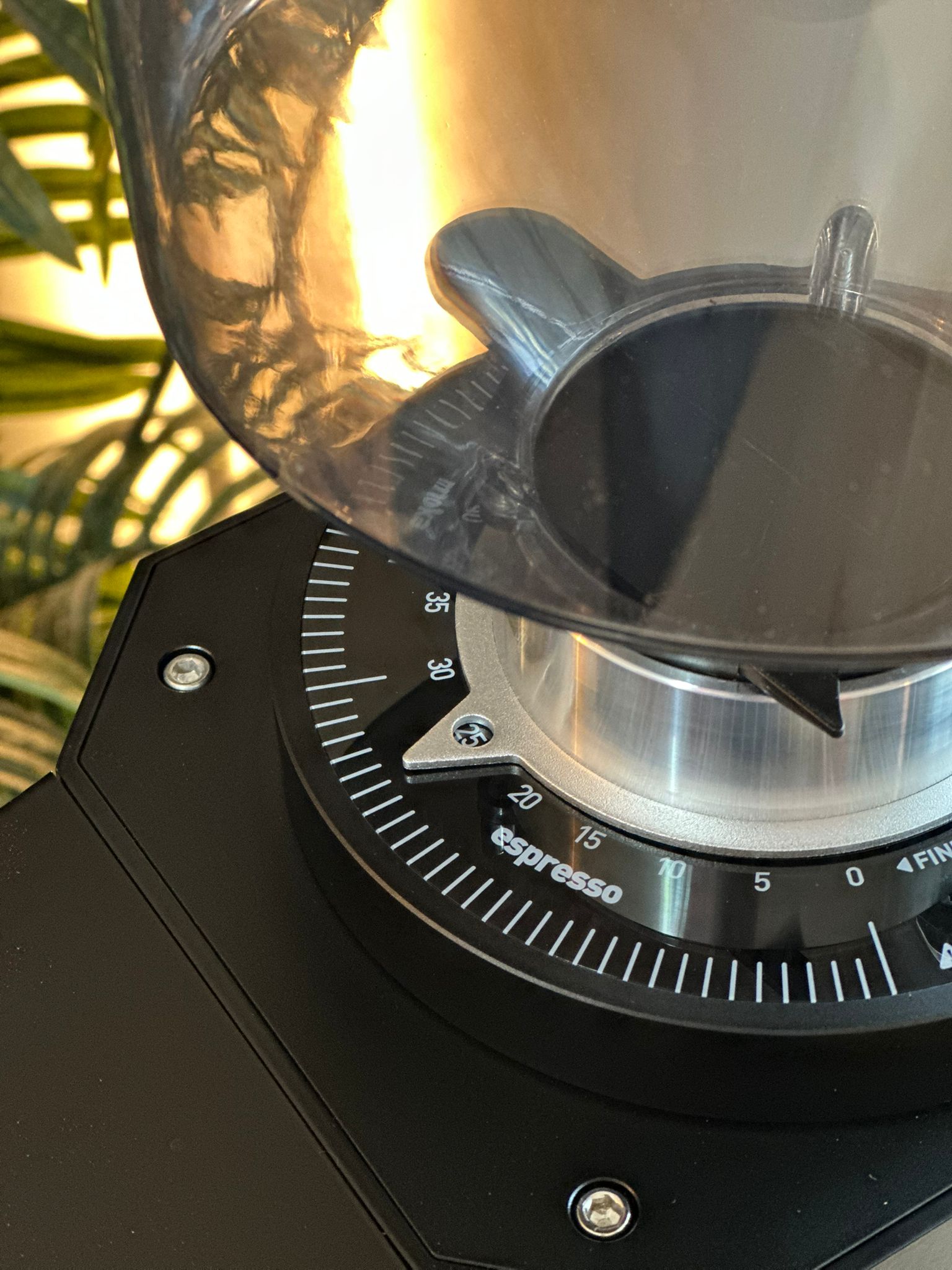 Turin ZF83 Commercial Espresso Grinder - From Espresso Outlet LLC - Just $1199! Shop now at Freedom Bear Coffee LLC