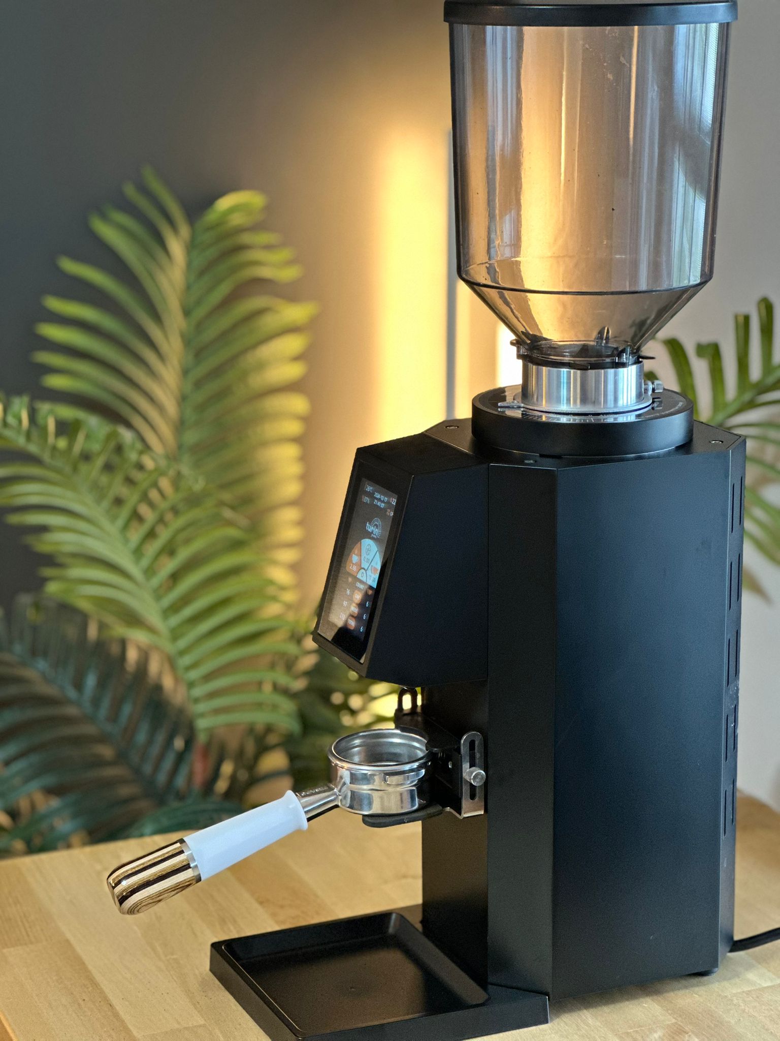Turin ZF83 Commercial Espresso Grinder - From Espresso Outlet LLC - Just $1199! Shop now at Freedom Bear Coffee LLC