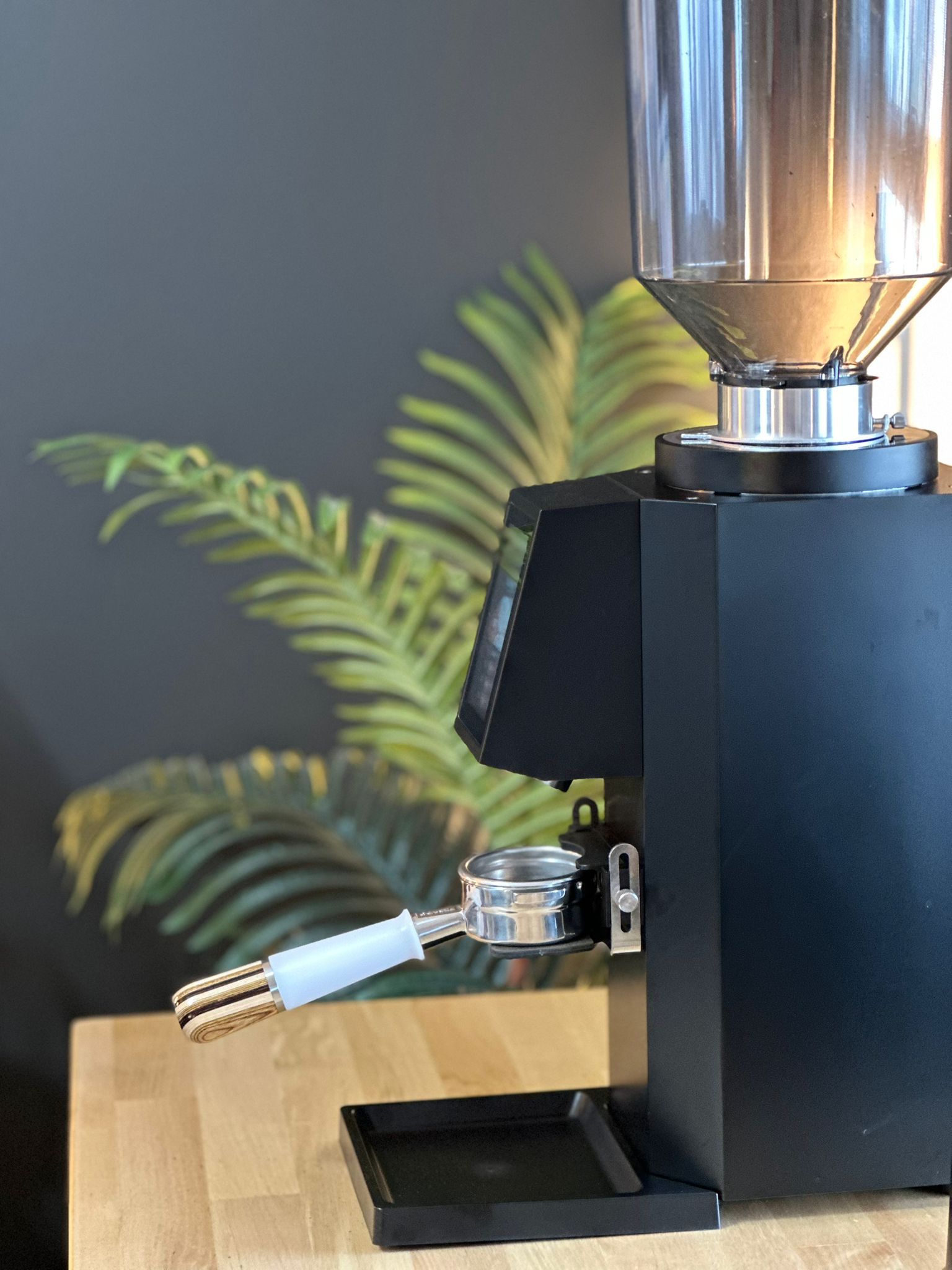 Turin ZF83 Commercial Espresso Grinder - From Espresso Outlet LLC - Just $1199! Shop now at Freedom Bear Coffee LLC