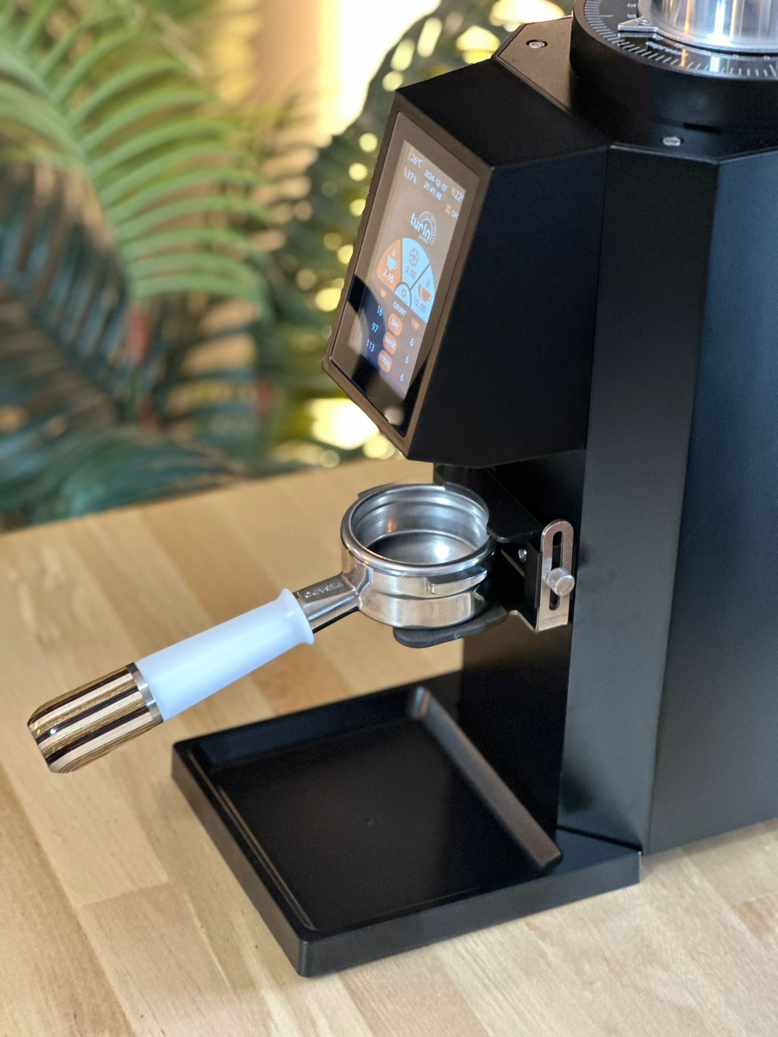 Turin ZF83 Commercial Espresso Grinder - From Espresso Outlet LLC - Just $1199! Shop now at Freedom Bear Coffee LLC