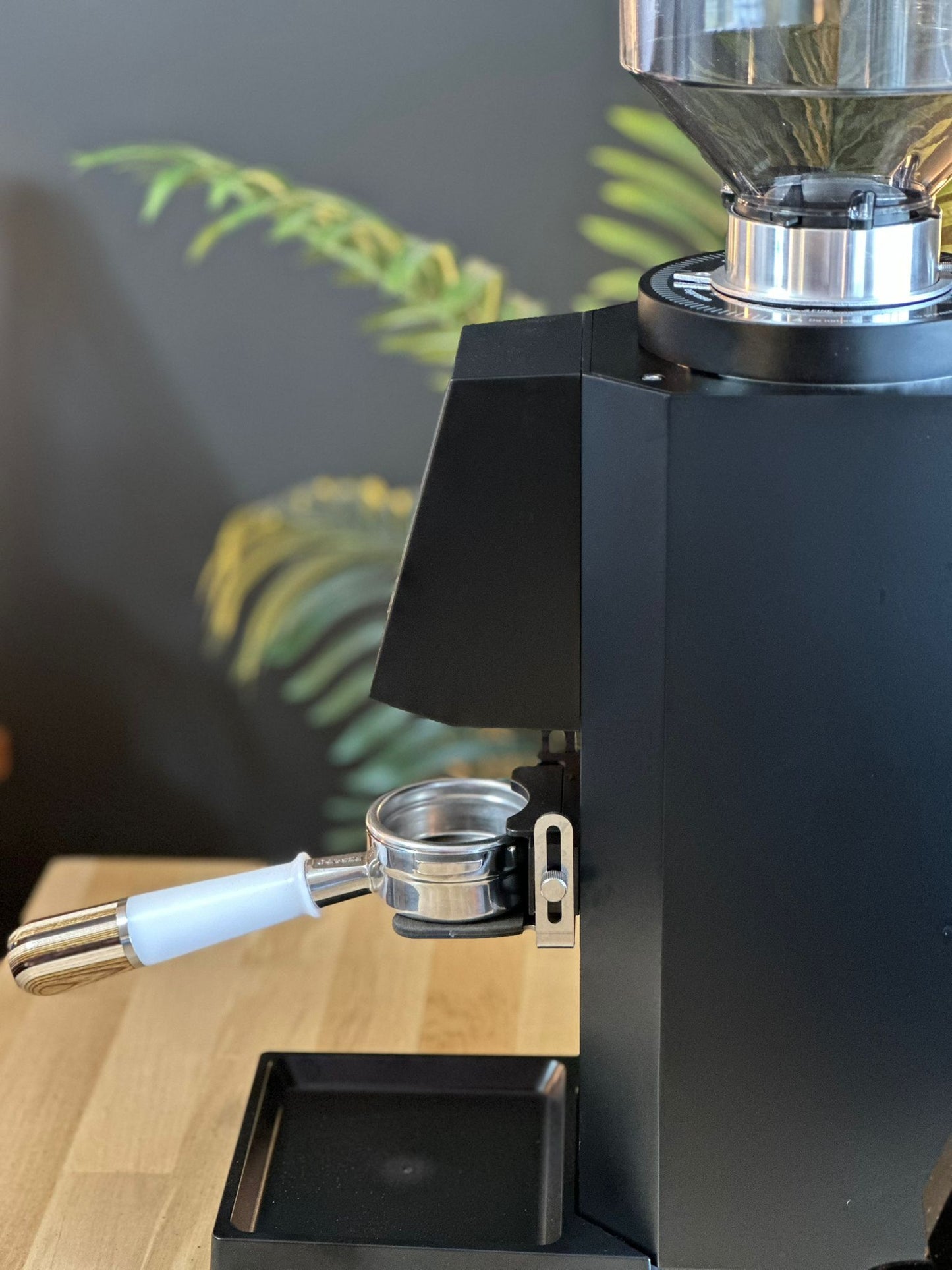 Turin ZF83 Commercial Espresso Grinder - From Espresso Outlet LLC - Just $1199! Shop now at Freedom Bear Coffee LLC