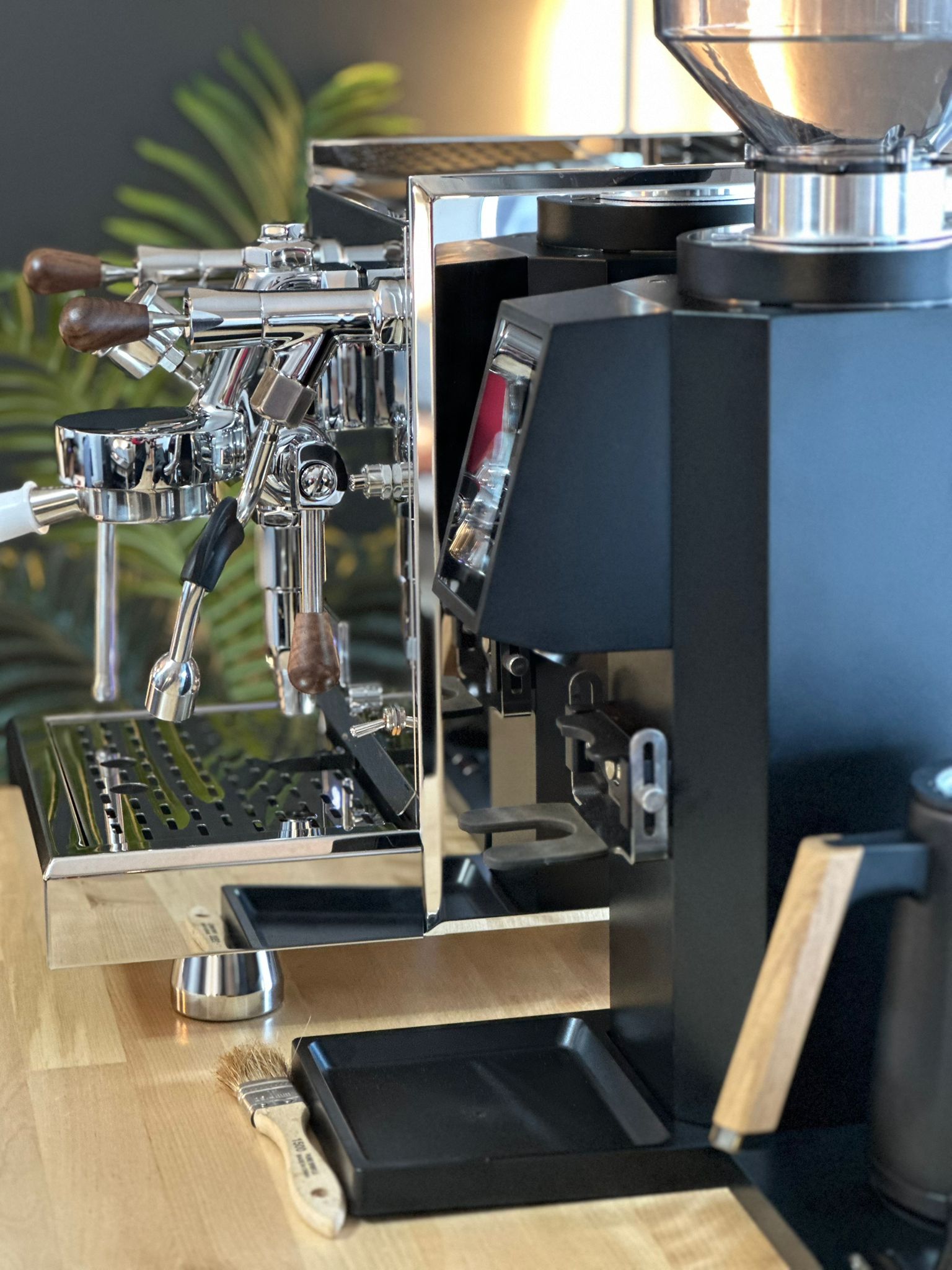 Turin ZF83 Commercial Espresso Grinder - From Espresso Outlet LLC - Just $1199! Shop now at Freedom Bear Coffee LLC