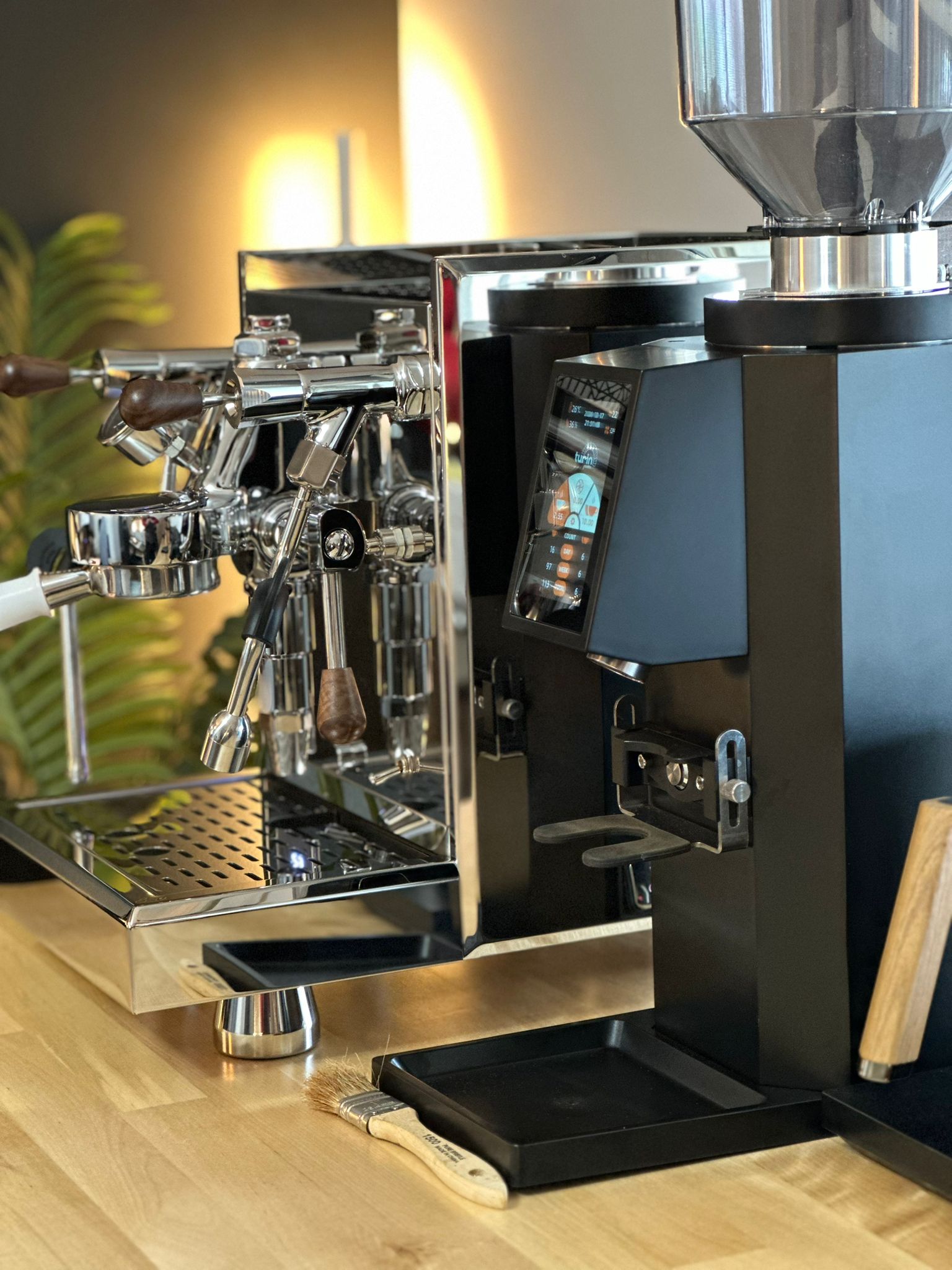 Turin ZF83 Commercial Espresso Grinder - From Espresso Outlet LLC - Just $1199! Shop now at Freedom Bear Coffee LLC