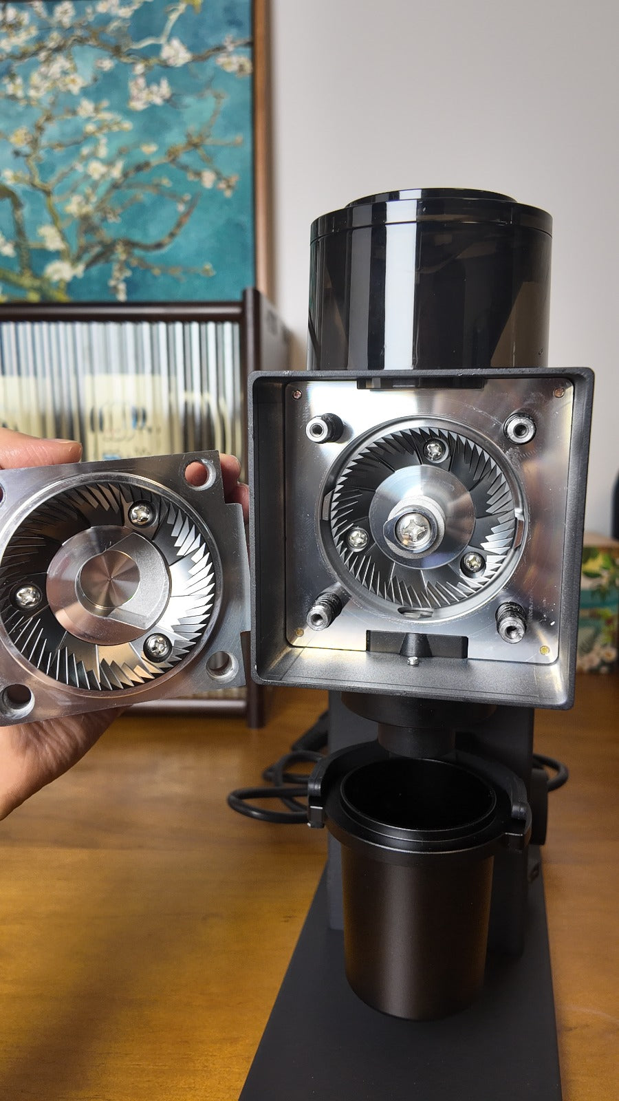 CF64V Grinder by Turin - Variable Speed Single Dose Grinder - From Espresso Outlet LLC - Just $499! Shop now at Freedom Bear Coffee LLC